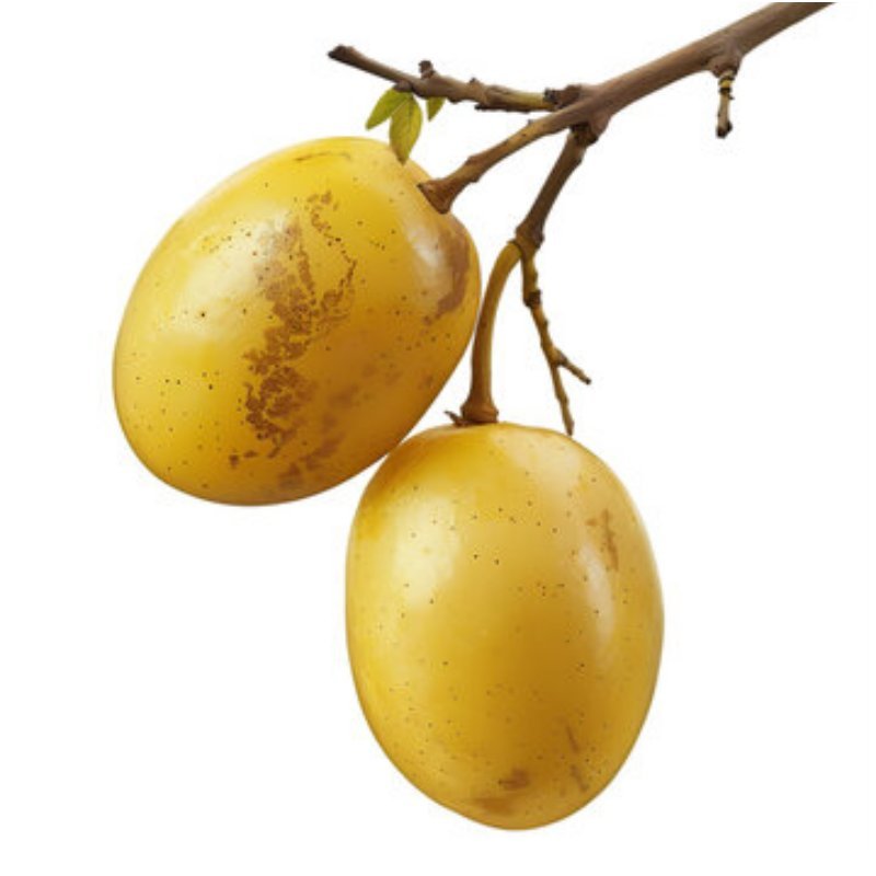Marula Fruit