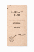 Elephant Bush - 100% Pure