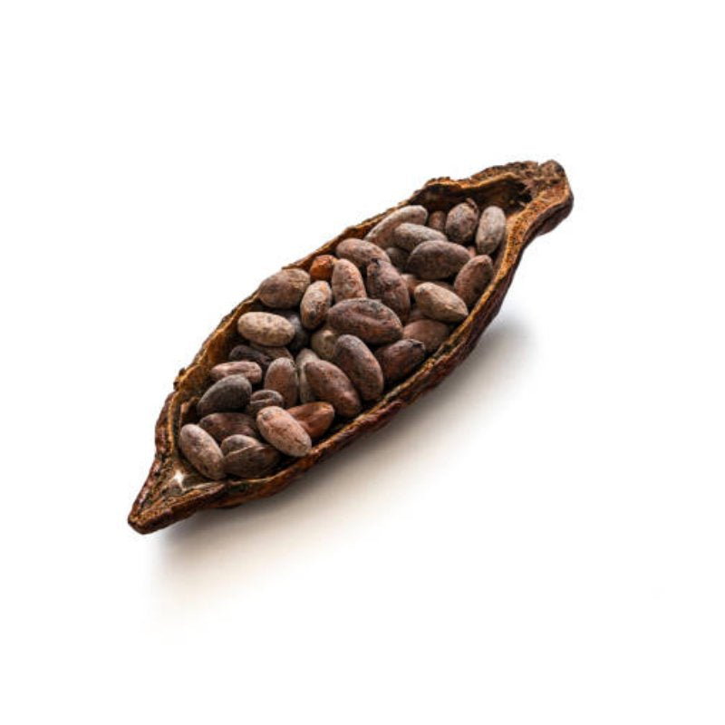 Cocoa Beans