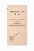 Resurrection Bush - 100% Pure